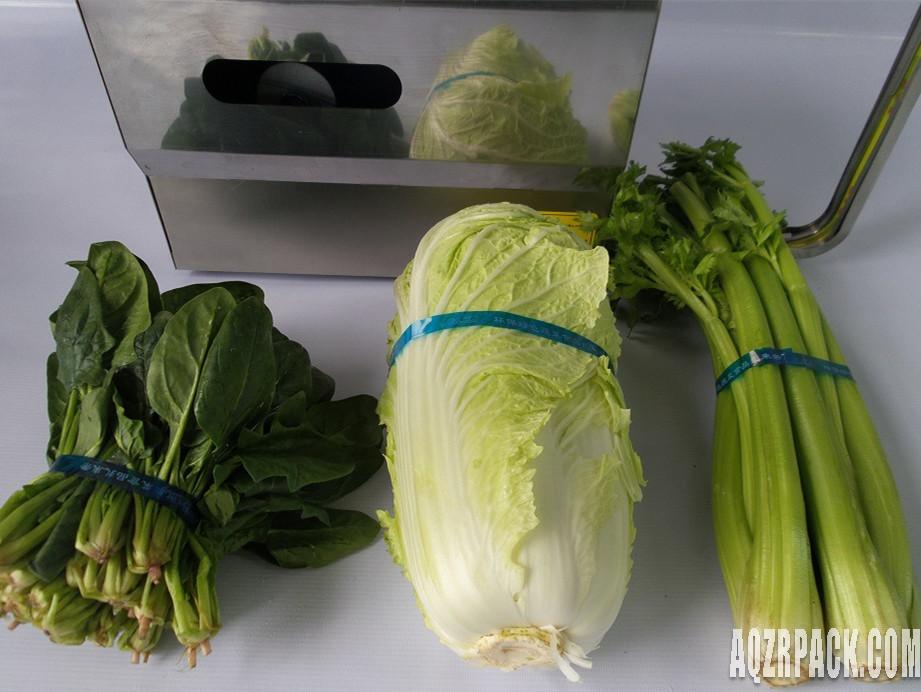 12mm width automatic strapping vegetable desktop machine